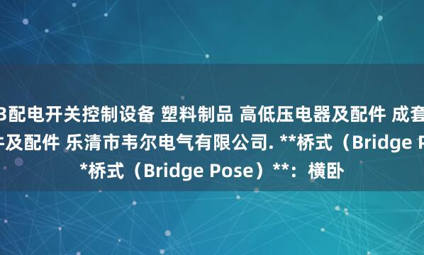 3配电开关控制设备 塑料制品 高低压电器及配件 成套设备 电子元器件及配件 乐清市韦尔电气有限公司. **桥式(Bridge Pose)**:横卧