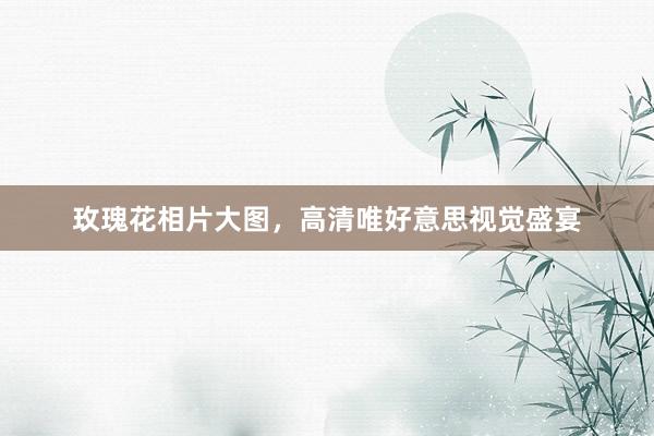 玫瑰花相片大图，高清唯好意思视觉盛宴