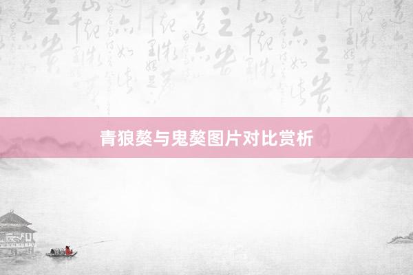 青狼獒与鬼獒图片对比赏析