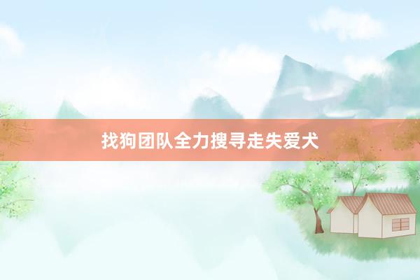 找狗团队全力搜寻走失爱犬